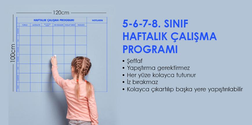 Haftalık Çalışma Programı